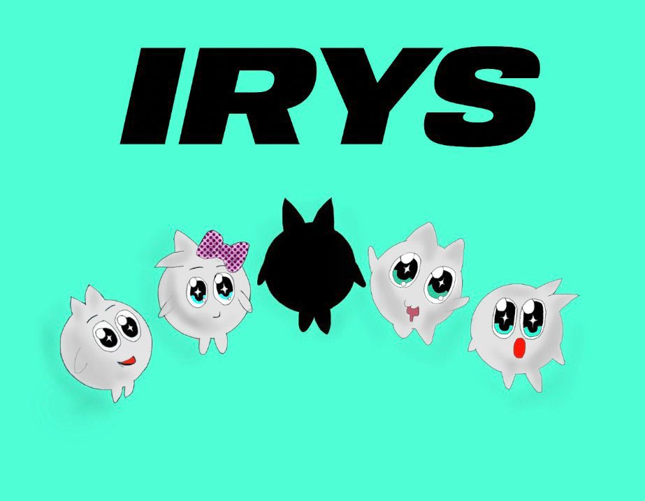 what is irys?