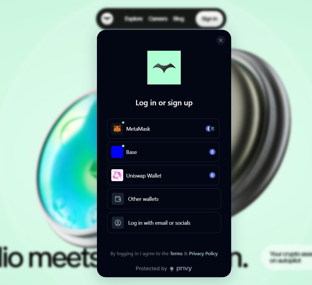 connect a wallet