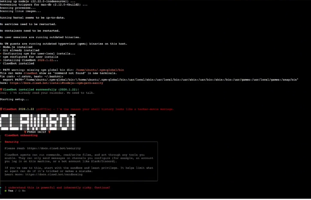 installing moltbot
