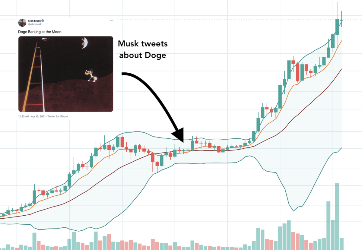 musk tweets about $doge