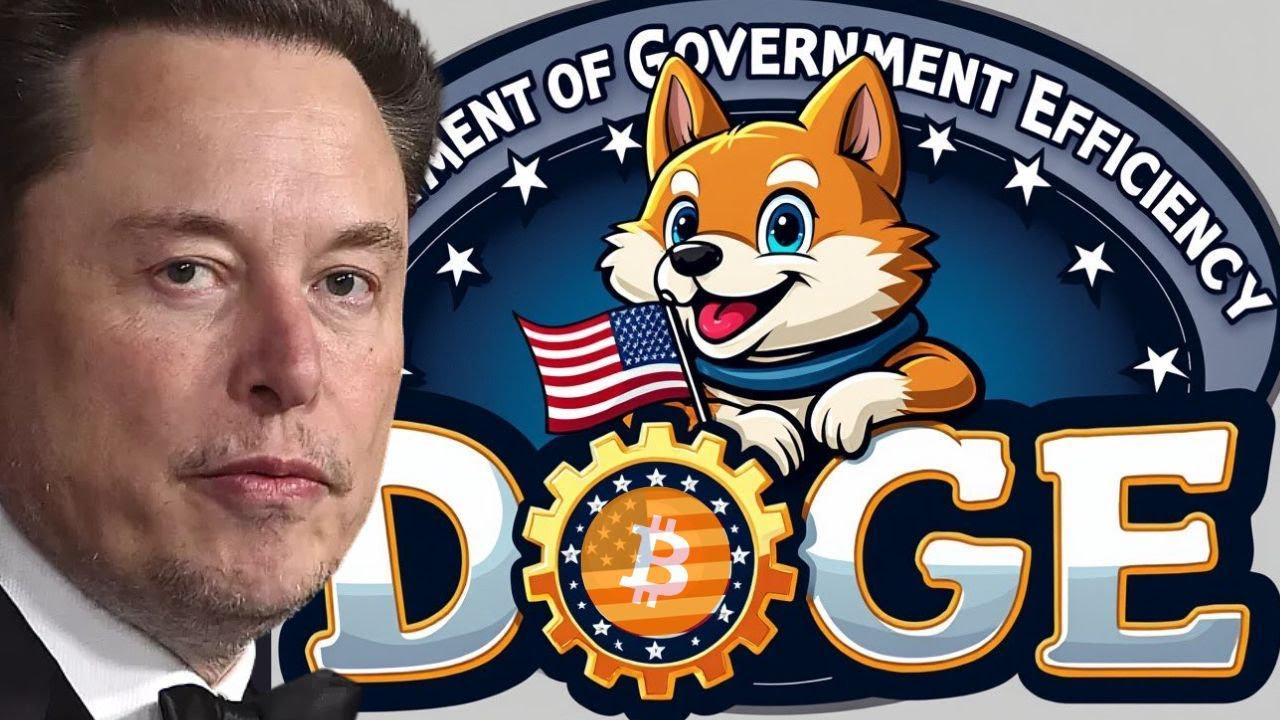 the doge meme entering mainstream institutional discourse