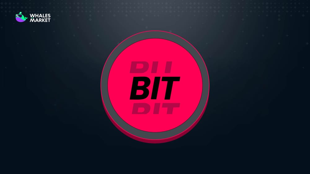 what is bitdealer