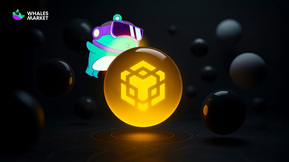 what is bnb coin