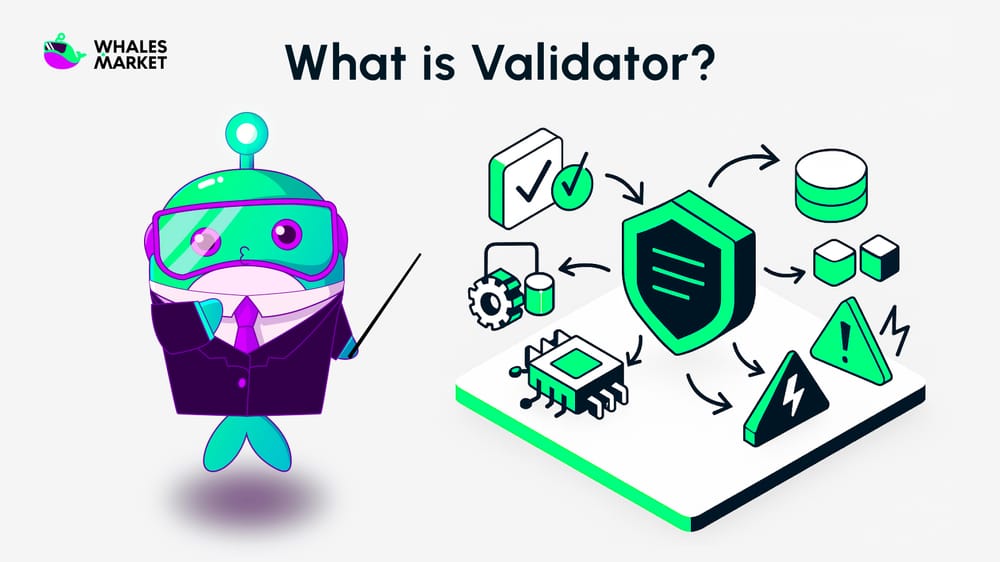 ưhat is validator