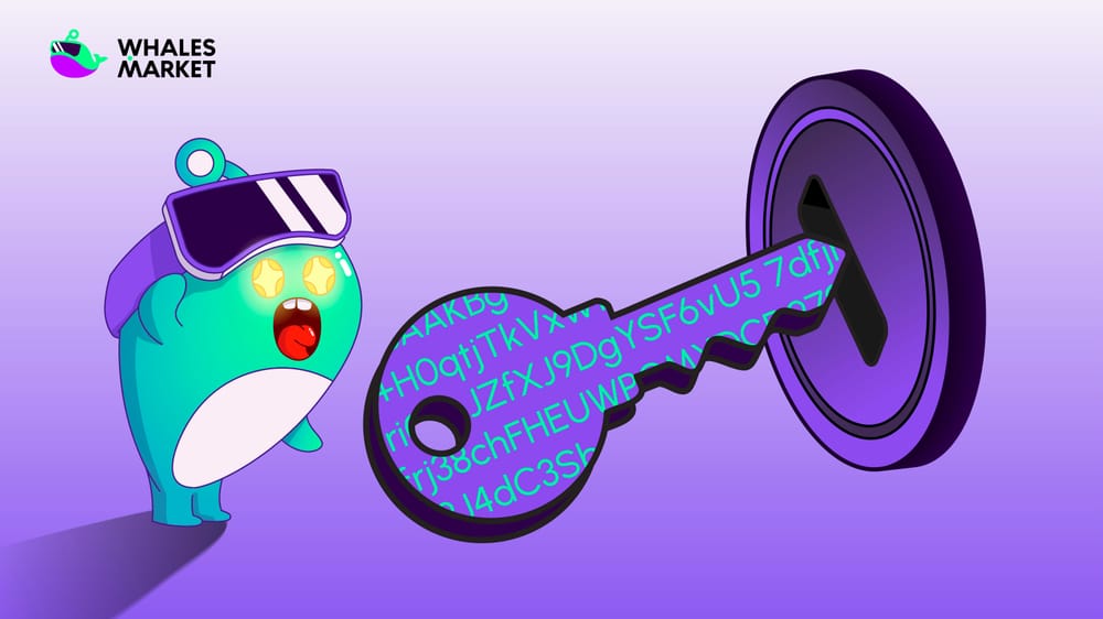what is a private key in crypto