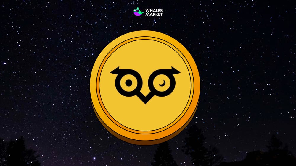 what Is owlto finance?