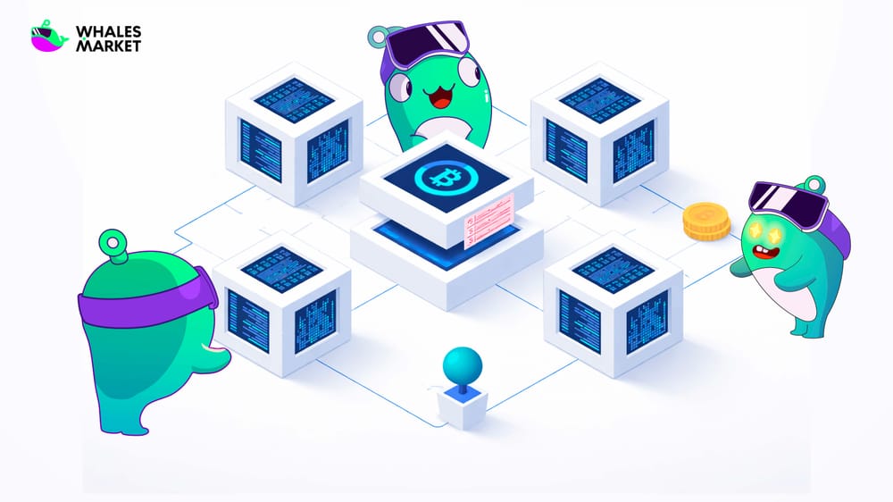 what is a full node