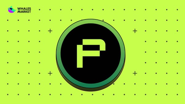 What is zkPass ($ZKP)? Privacy-focused on-chain project