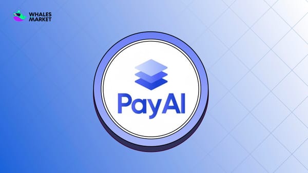 what is payai net