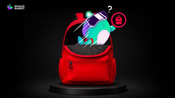 backpack price prediction