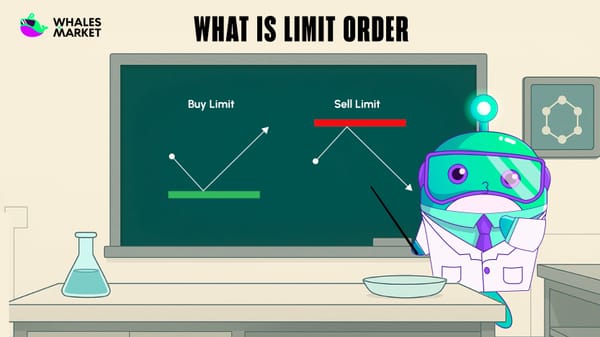 what is a limit order definition 