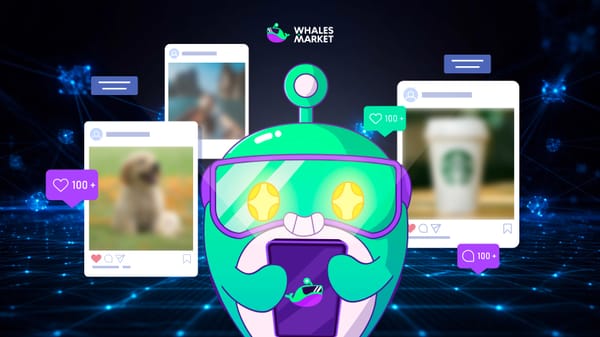 what is SocialFi